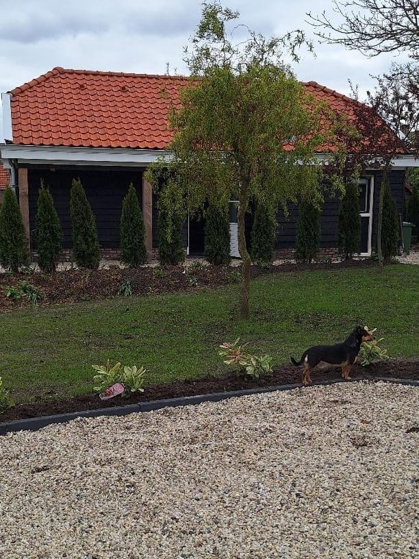 Gastenhuis Amstelmeerzicht. Westerland Exterior photo